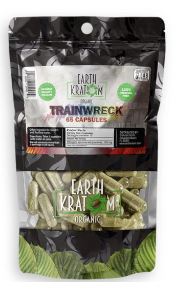 EARTH K TRAINWRICK 65